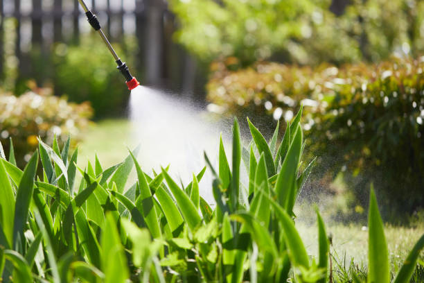 24/7 Emergency Mosquito Control experts in Purdy, WA